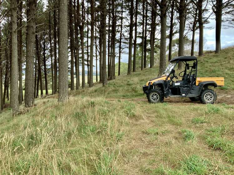 436 Burnside Road Makarau_18