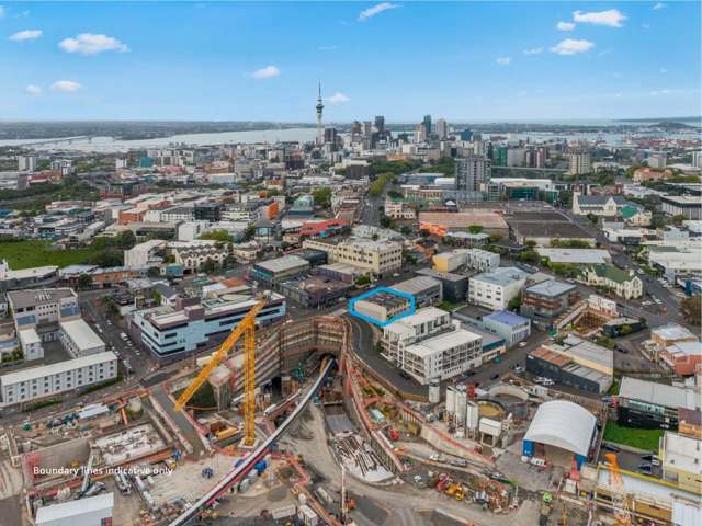 12-14 Nikau Street Eden Terrace_1