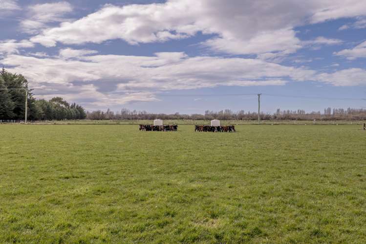 201 Hollands Road Tinwald_24