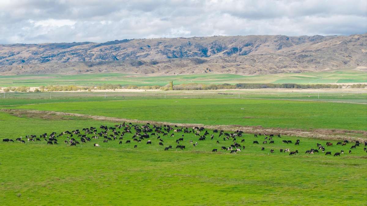 263 Puketoi Runs Road_3