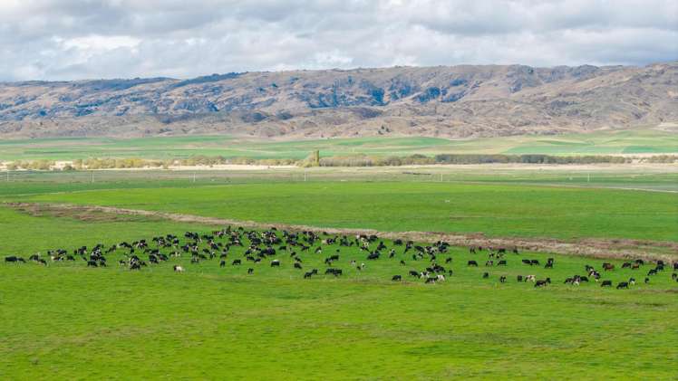 263 Puketoi Runs Road Puketoi_7