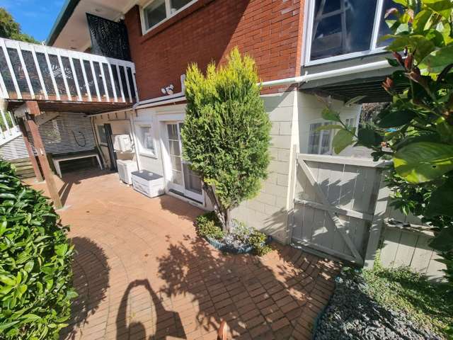 16 Wayne Place Mount Roskill_1