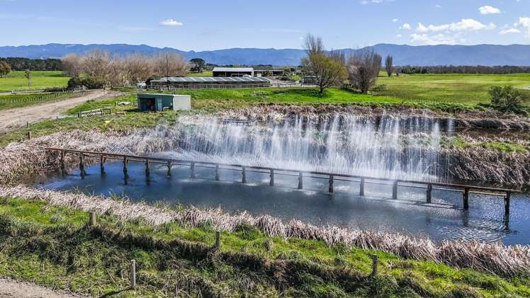 1807 Kahutara Road Kahutara_9