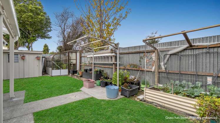 56a Burwood Road Burwood_13