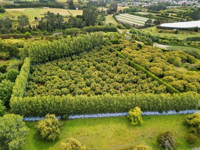 58 Rawaka Drive Katikati_2