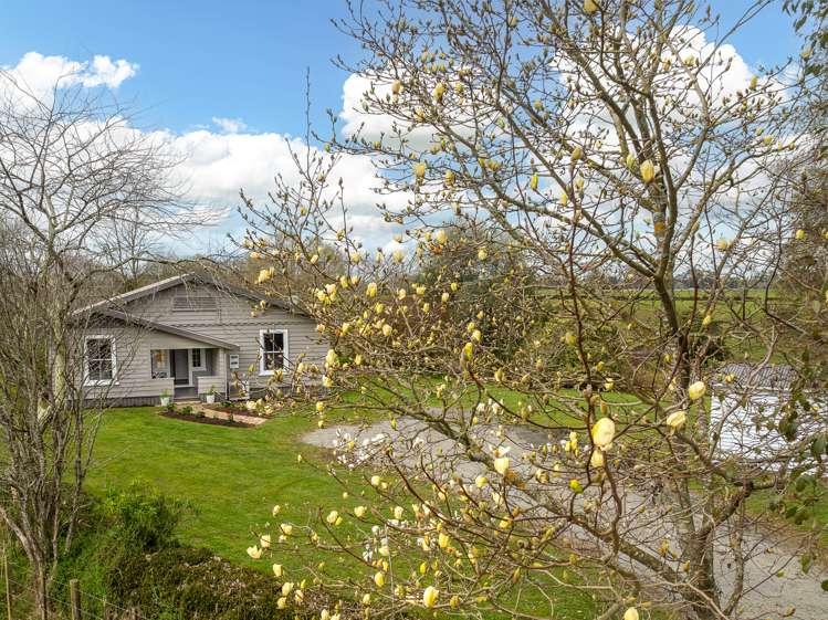 611 Te Kowhai Road Te Kowhai_22