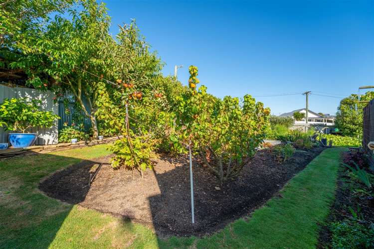 17 Anderson Street Kakanui_15