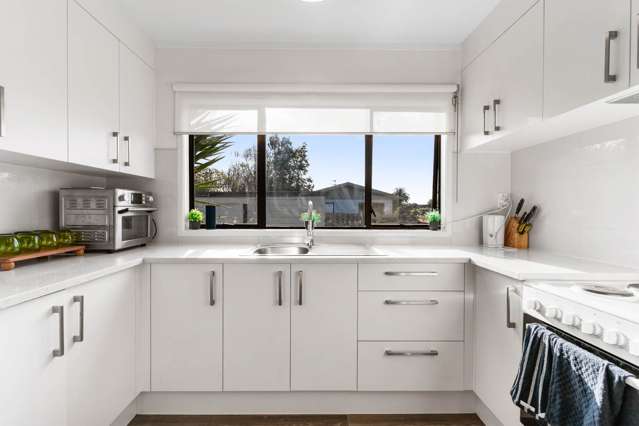 147A Princes Street West Pukekohe_4