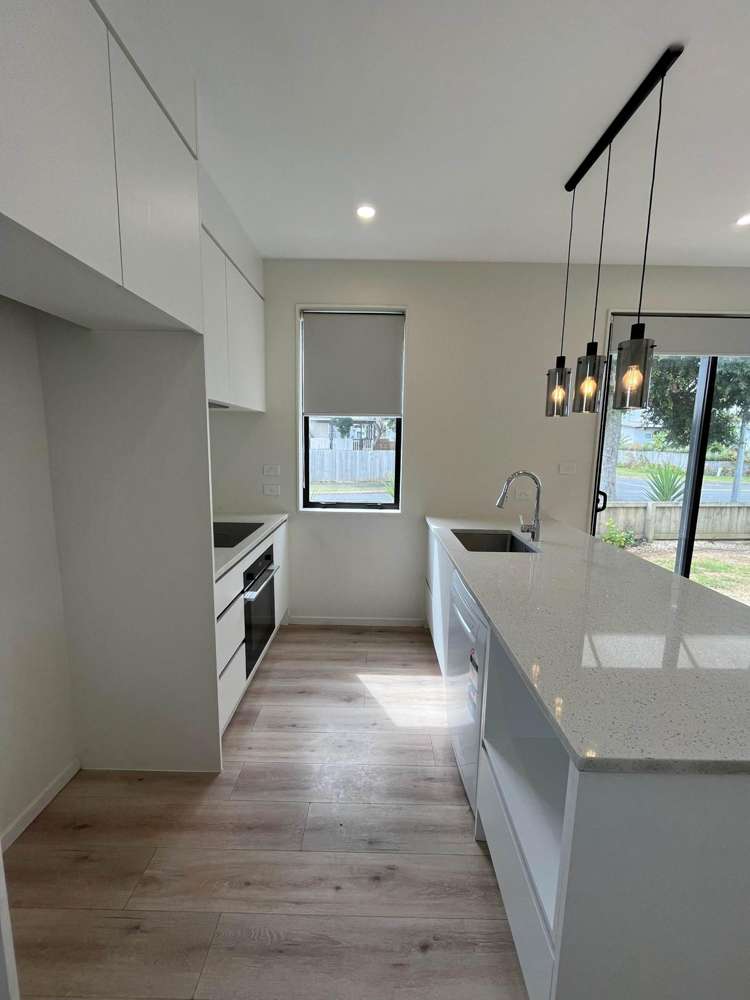 Pallant Street Manurewa_4