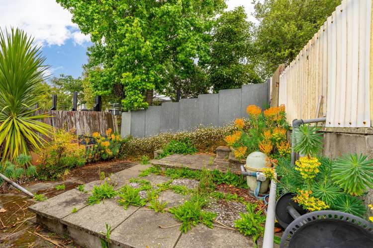 24 Puriri Street Highfield_5