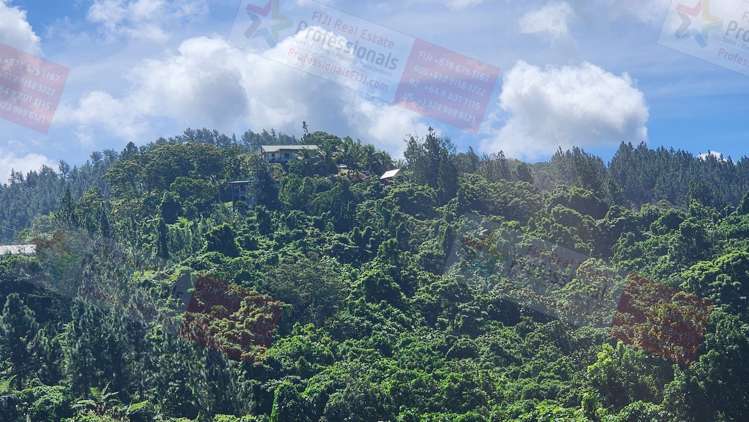 Address withheld Maui Bay Estate_9