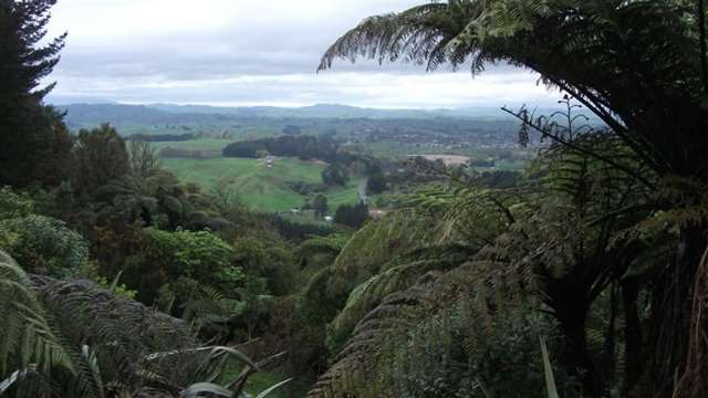 369 Honikiwi Road Otorohanga_2