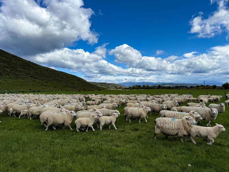 21 Lillburn Valley Road Clifden_7