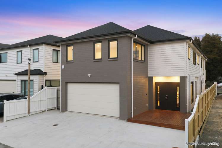 217A Murphys Road Flat Bush_1