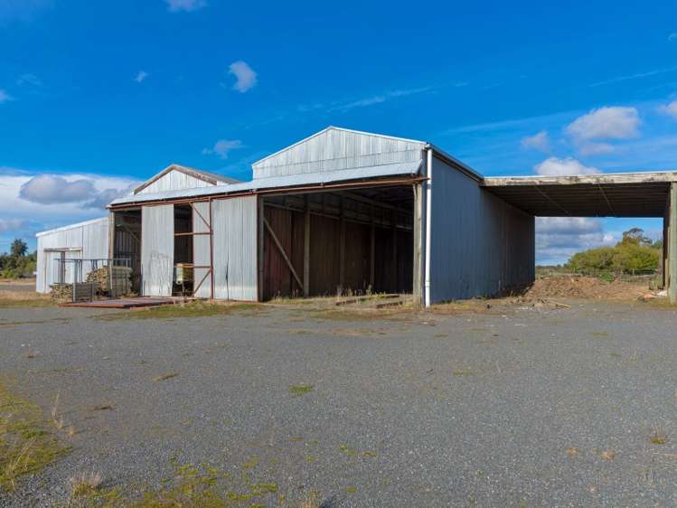 50 Mamaku Street Mamaku_3