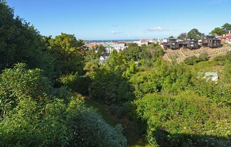 109 Canongate Dunedin Central_12