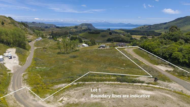 1040 Mapara Road (Proposed Lot 1) Kinloch_9