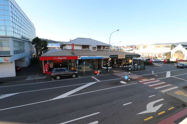 33 Waterloo Road Lower Hutt_2