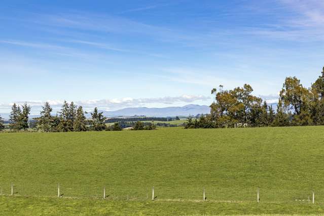 91 Brophy Road Geraldine_1