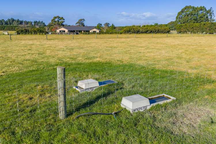 186 Terrace Road Leithfield_34