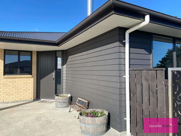 15 George Street Bulls_17