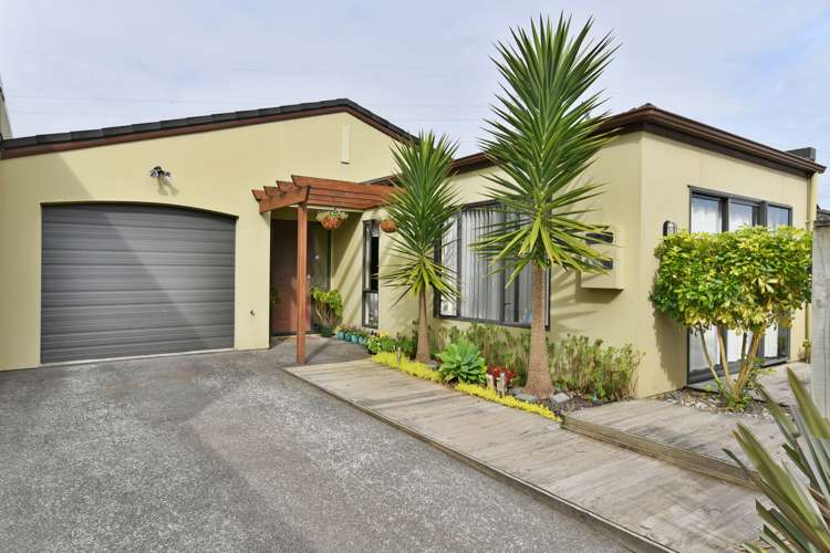 17b Ksenia Drive Flat Bush_0