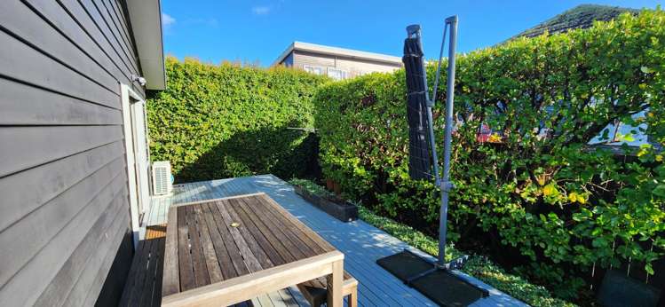 39A Caen Road Panmure_9