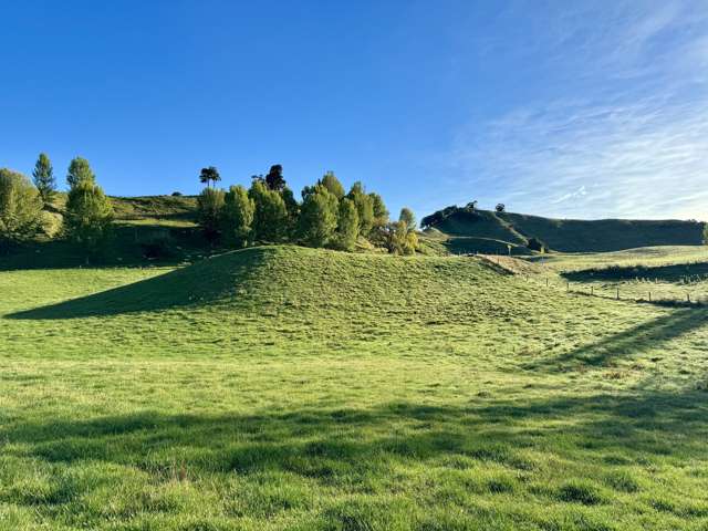 894 Otuarei Road Rangitikei Surrounds_1