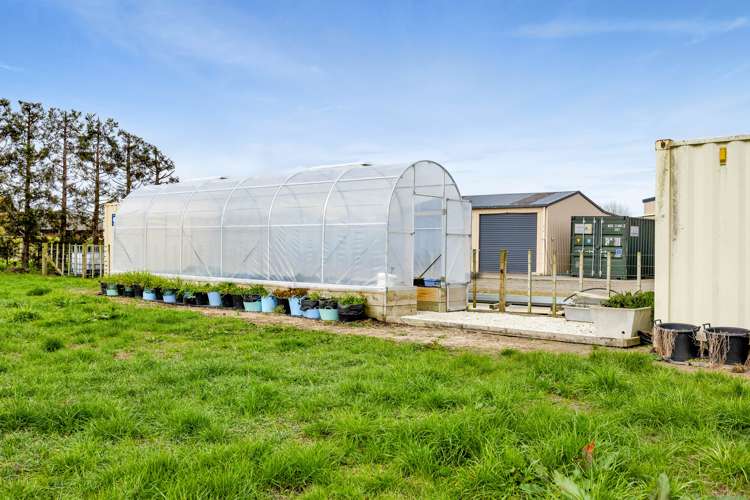 112b Princess Street Waitara_30