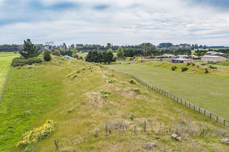 334 Motuiti Road Foxton_26