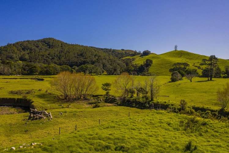 110 Te Punga Road Whangapoua_14