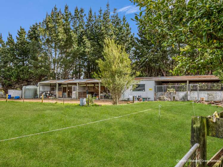 356 Matamau Ormondville Road Dannevirke_25