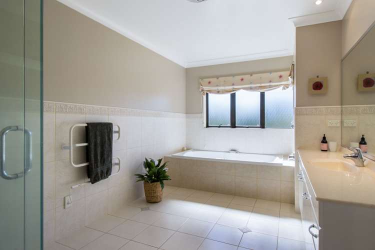 Old Highway Whakamarama_14