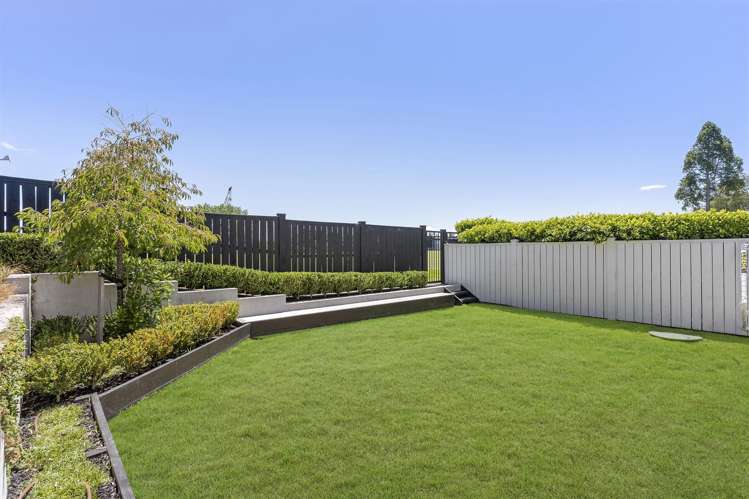 123 John Street Ponsonby_4