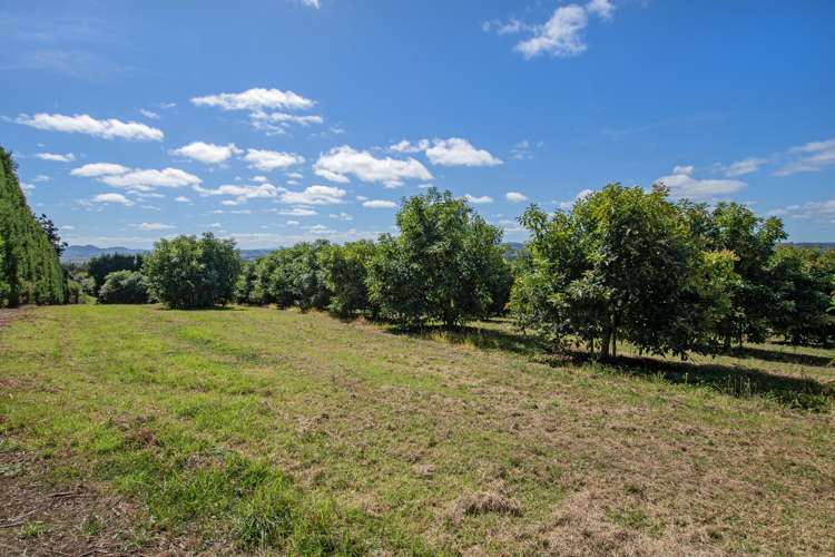 88 Stone Wall Rse Maungatapere_24