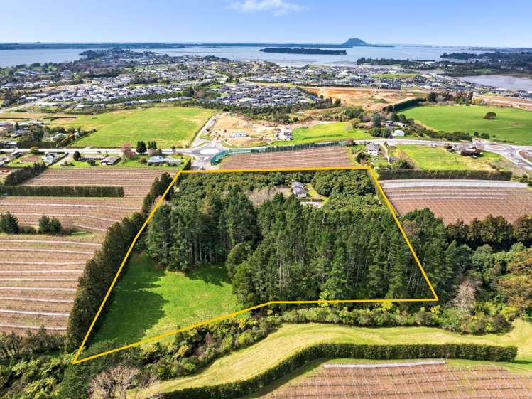 61 Prole Road Omokoroa_2