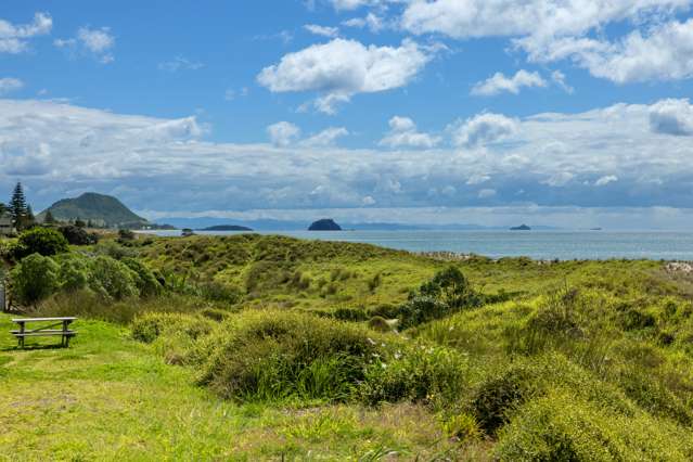 451 Oceanbeach Road Mount Maunganui_4