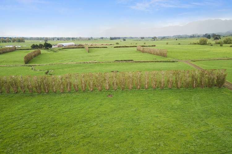 1369 Te Aroha-Gordon Road Manawaru_13