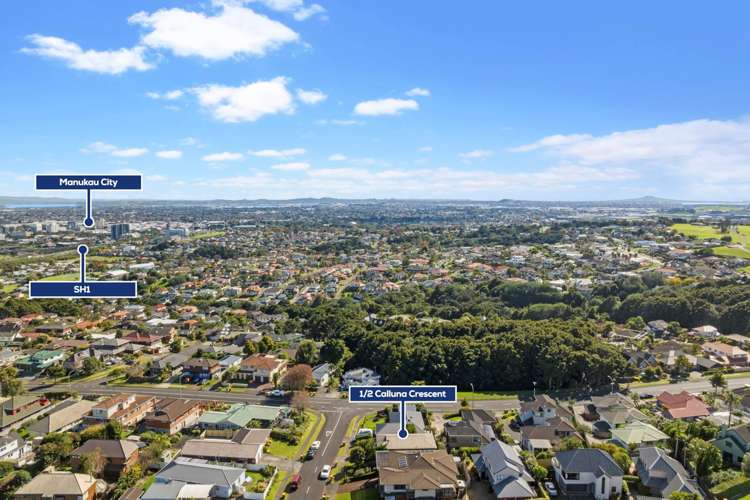1/2 Calluna Crescent Totara Heights_18