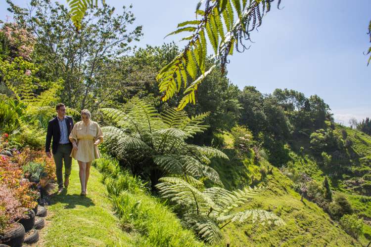 467 Rocky Cutting Road Kaimai_8