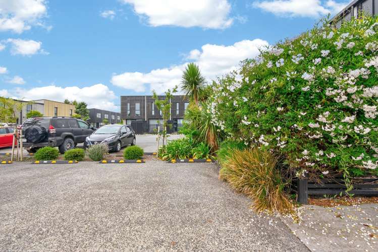 429B Jackson Street Petone_19