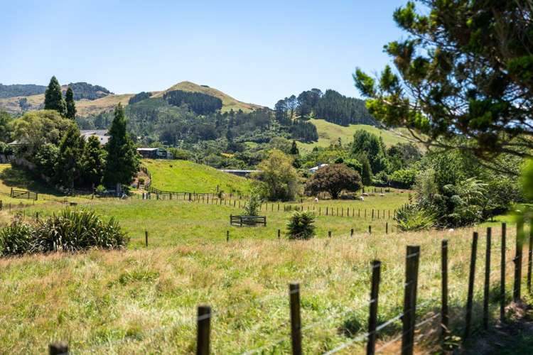 17 Buller Street Waihi_21