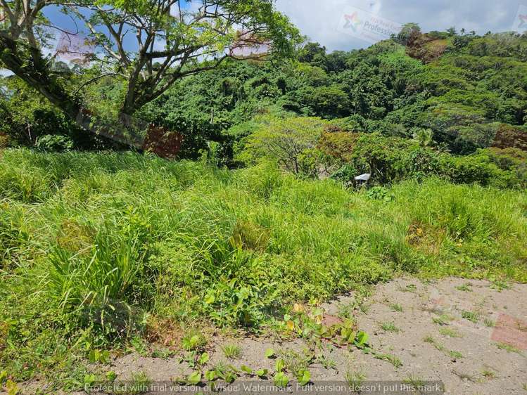 Address withheld Savusavu_8