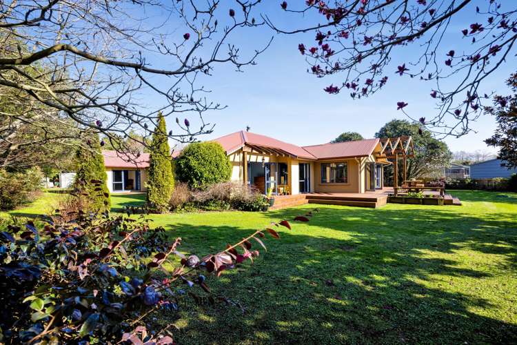 47a Maire Street Inglewood_18