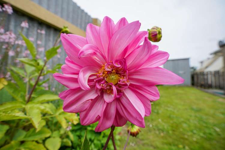 71C Earn Street Appleby_20