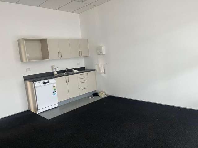 20 Fitzherbert Avenue Palmerston North Central_3