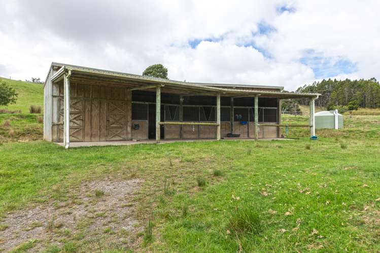 258 Stoney Creek Road Kaukapakapa_4