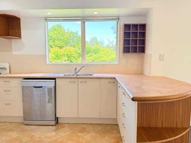 1164 No 3 Road Te Puke_1