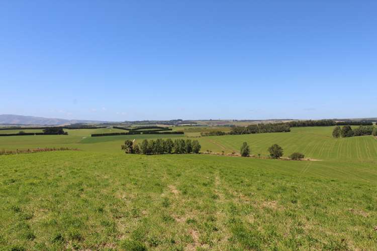 1271 Waikaka Valley Highway Gore Surrounds_2