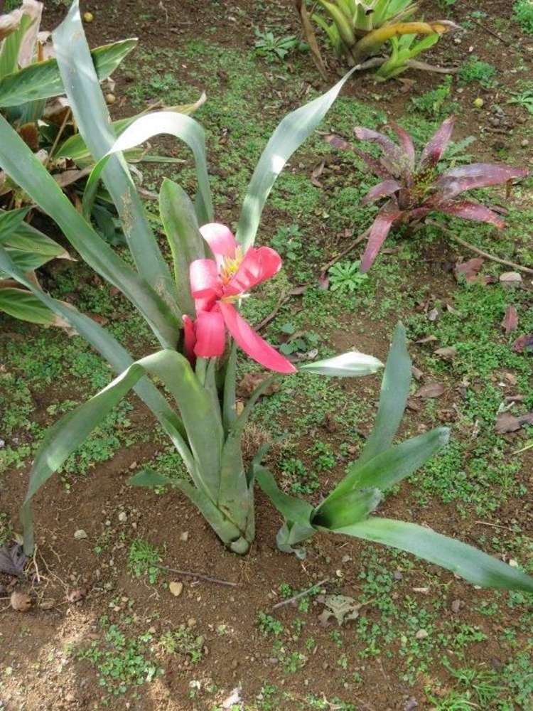 18 South View Place Kaikohe_10